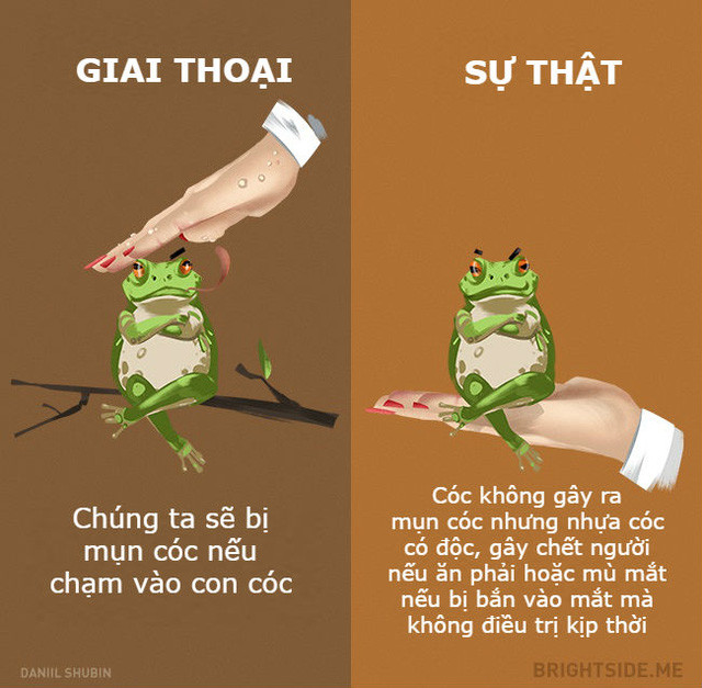 Những giai thoại không nên tin khác về các loại động vật