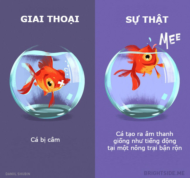 Những giai thoại không nên tin khác về các loại động vật