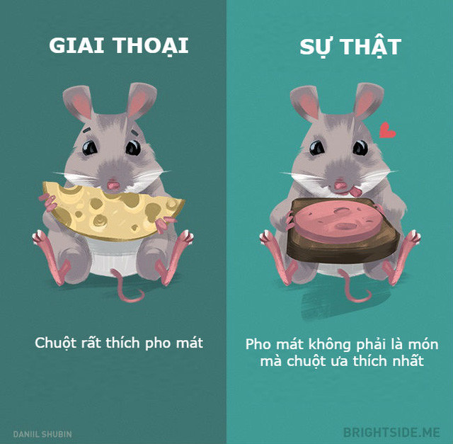 Những giai thoại không nên tin khác về các loại động vật