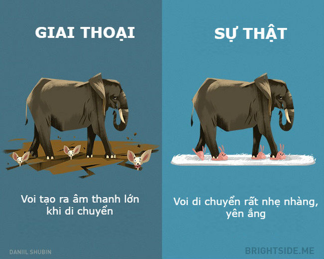 Những giai thoại không nên tin khác về các loại động vật