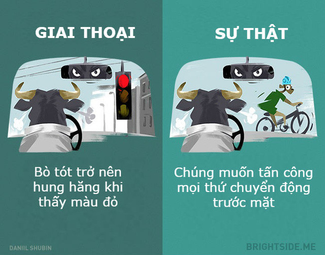 Những giai thoại không nên tin khác về các loại động vật