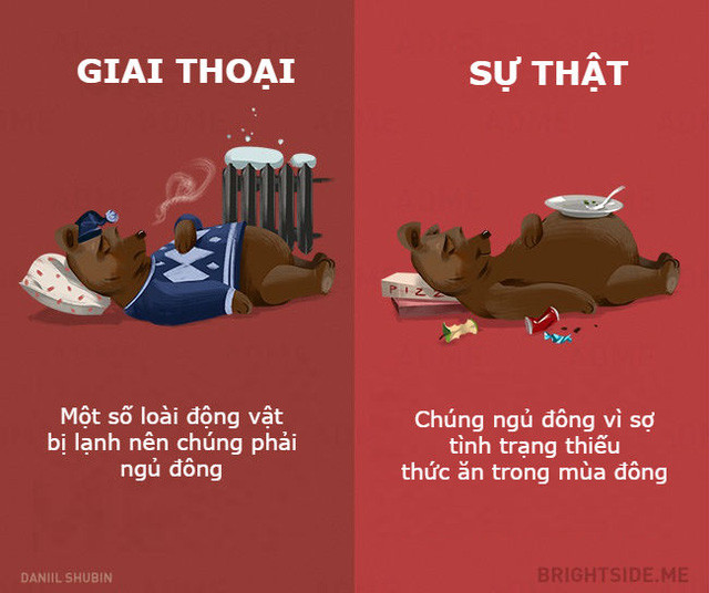 Những giai thoại không nên tin khác về các loại động vật