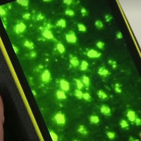 Thụy Điển: Kiểm tra DNA bằng điện thoại thông minh