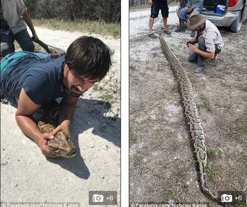 El botín les reportó a dos cazadores estadounidenses más de 600 dólares.