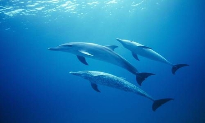 7 khả năng siêu nhiên của con người