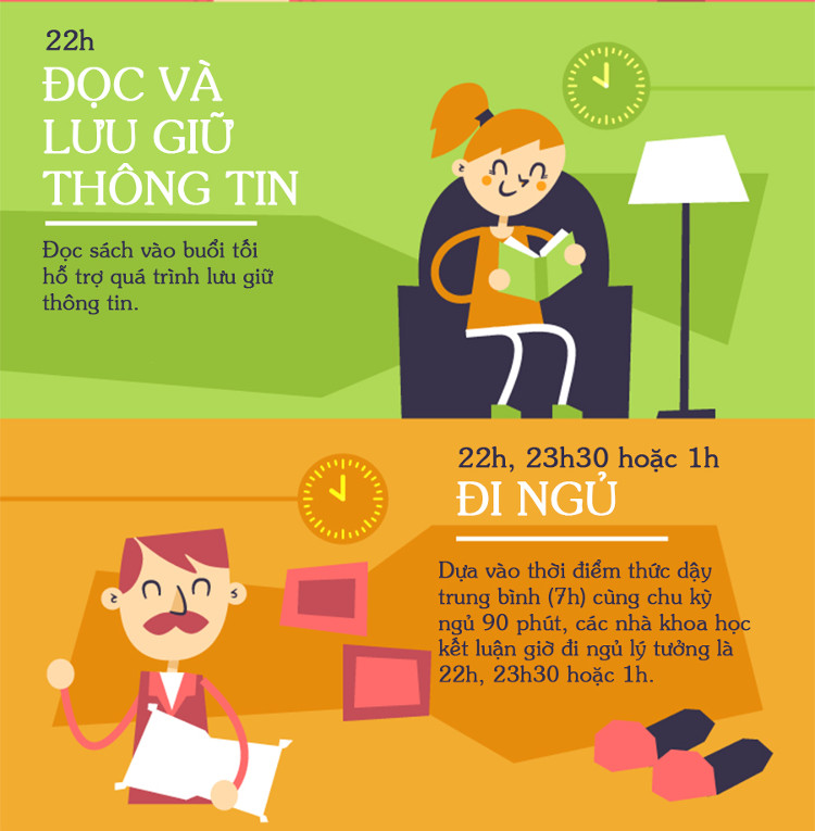 Đồng hồ sinh học bạn nên biết để 