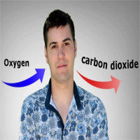 Tại sao chúng ta thở ra carbon dioxide?