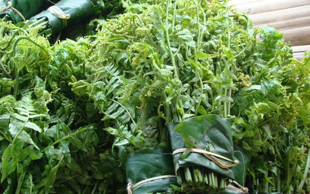 4 loại 