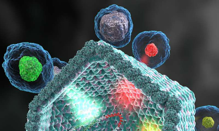 Phát hiện virus khổng lồ làm dấy lên câu hỏi thế nào là sự sống?