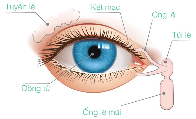 100 người đi nắng về thì đến 101 người bị hoa mắt, đó là vì...