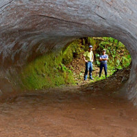 Tìm thấy hang khổng lồ "do quái vật đào" ở Brazil