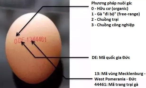 Trứng gà cũng có chứng minh thư, bạn biết không?