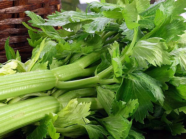 Chảy máu chân răng, mất ít máu nhưng không được xem nhẹ