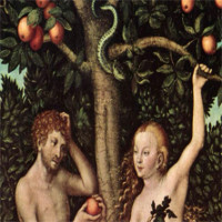 Không phải táo, "Trái cấm" Adam và Eva đã ăn trong Vườn Địa đàng là quả gì?