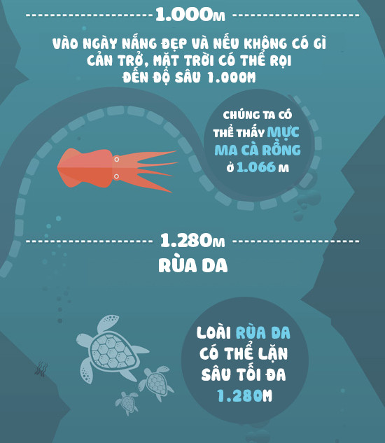 Độ sâu khó tin của biển xanh và những sự thật chẳng ai ngờ đến dưới đáy đại dương