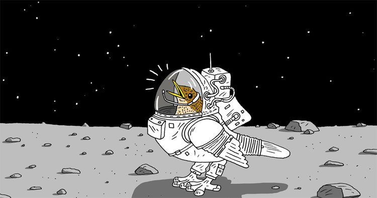 Chúng ta luôn tự hỏi những con chim đã đi đâu trong một khoảng thời gian nhất định nào đó.