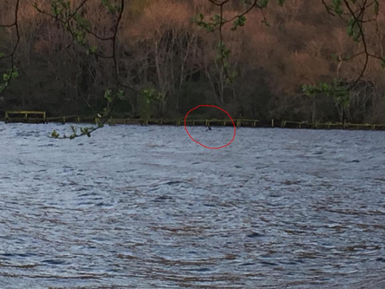 Quái vật hồ Loch Ness bất ngờ xuất hiện sau 9 tháng mất tích?