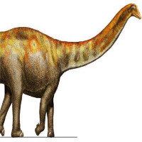 Loài vật đẩy lui khủng long ăn thịt chỉ bằng cú quật đuôi