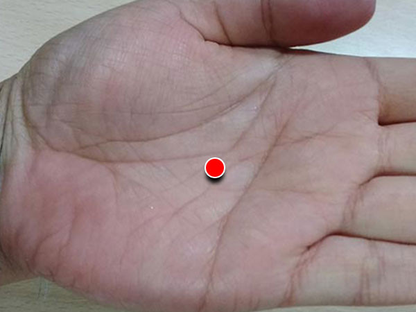 Muốn dưỡng ngũ tạng khỏe, cần 