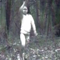 Thợ săn tung ảnh "hồn ma bé gái không chân" dạo chơi giữa rừng
