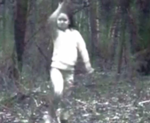 Bức ảnh cô bé mặc đồ trắng giữa rừng.