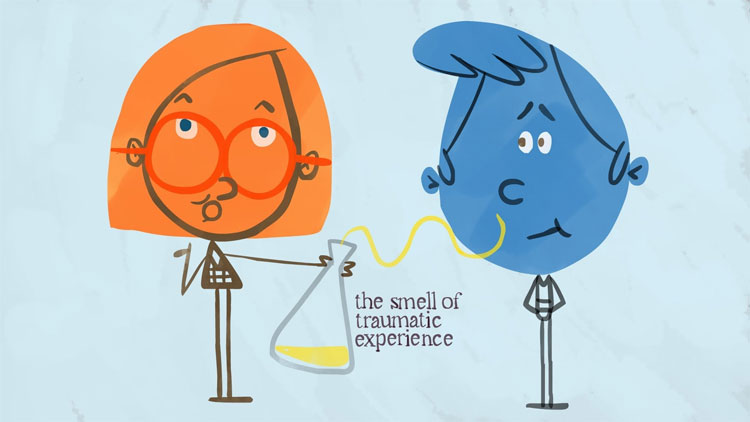 Mũi là giác quan đầu tiên bạn sử dụng khi vừa chào đời.