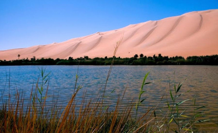 Bất ngờ với ốc đảo tràn ngập cây xanh và bóng mát giữa sa mạc Sahara