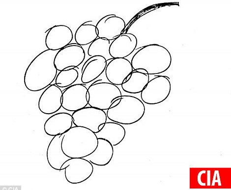 Nhà ngoại cảm được CIA công nhận là có năng lực đặc biệt