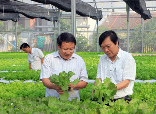 Công nghệ tưới nước Israel về vùng đất khô hạn nhất miền Trung
