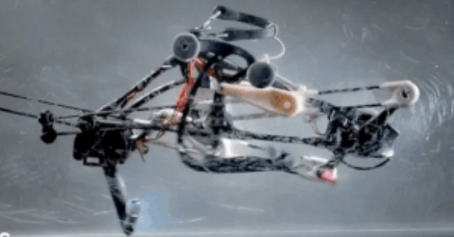 Robot sử dụng hoàn toàn khả năng cơ học để giữ thăng bằng