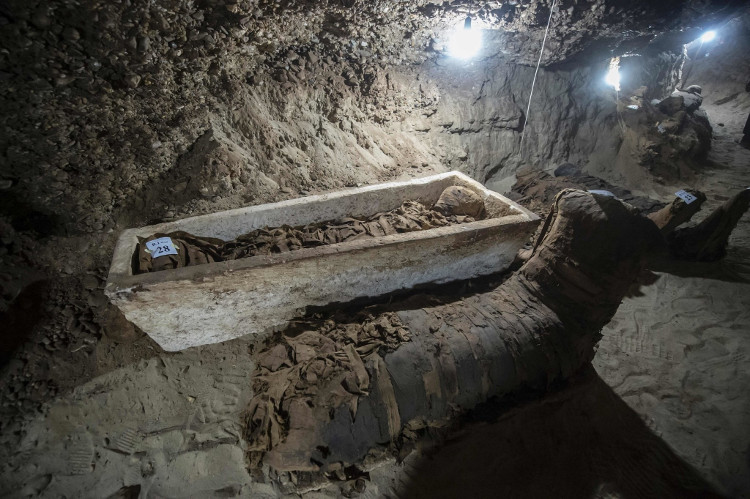 Khai quật mộ cổ Ai Cập 2300 năm tuổi - ít nhất 17 xác ướp cấp cao được tìm thấy - KhoaHoc.tv