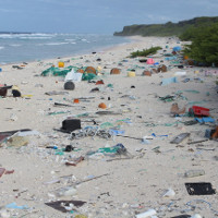 Hòn đảo hoang ô nhiễm nhất thế giới