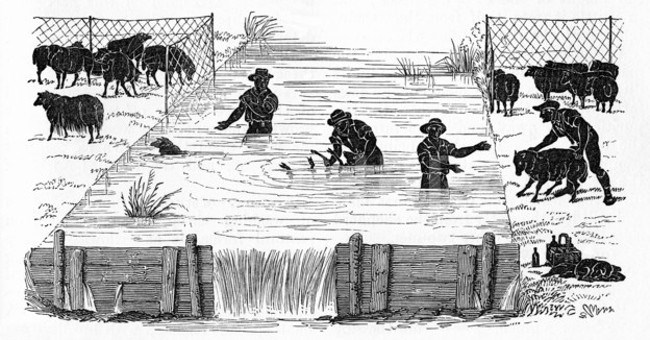 Tròn mắt với 6 điều cấm lố bịch đến nực cười thời Trung Cổ