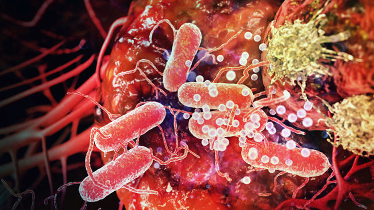 Khoa học chế ra virus giết chết tế bào ung thư, bước ngoặt lớn của nhân loại?