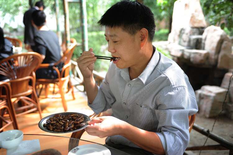 Nhộng ve: Đặc sản hay chất độc?