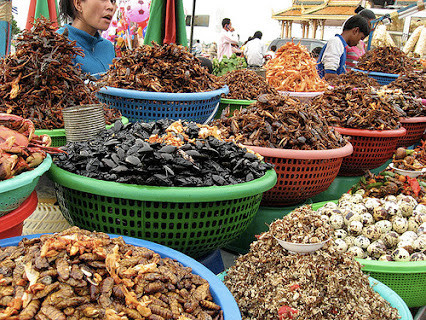 Nhộng ve: Đặc sản hay chất độc?