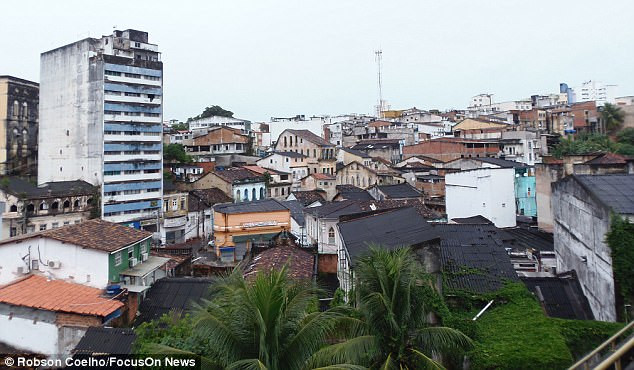 Dơi ma cà rồng 