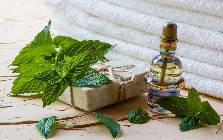 Phái đẹp nên cẩn trọng khi dùng mỹ phẩm chứa bạc hà