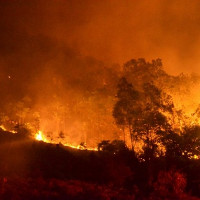 Tin mới vụ cháy rừng Sóc Sơn, Hà Nội lớn nhất lịch sử