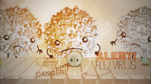 Vì sao chúng ta lại phải tiêm vaccine?