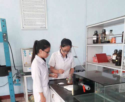 Đang làm bánh, nữ sinh Huế vô tình phát hiện vật liệu có thể thay thế ni lông