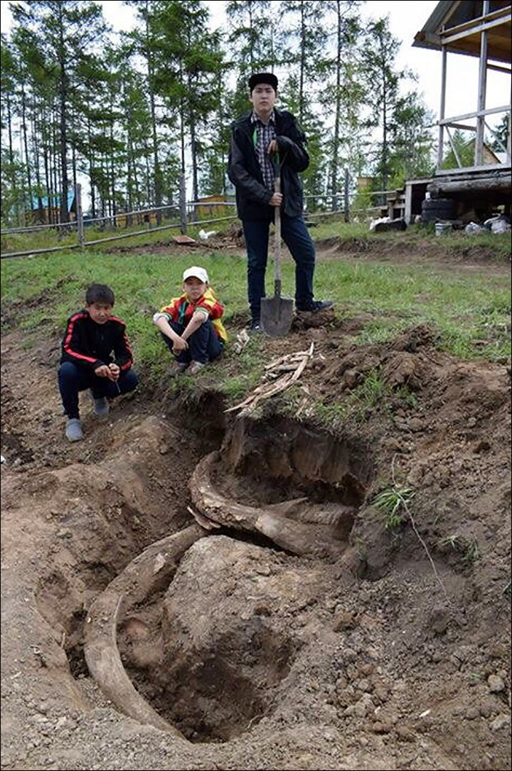 Phát hiện cặp ngà voi ma mút 400.000 năm tại Siberia