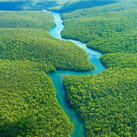 Phát hiện mới giúp sông Amazon trở thành sông dài nhất thế giới