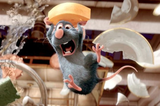 Phát hiện món ăn khoái khẩu thật sự của chuột Jerry, phô mai ư? Nhầm to rồi nhé!