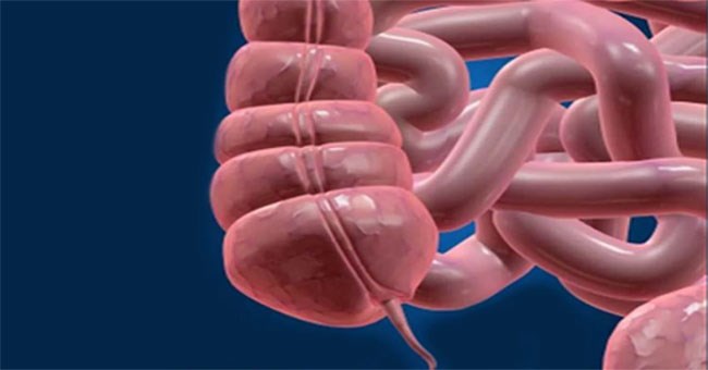 Lý giải 3 hiện tượng "hiển nhiên" của con người