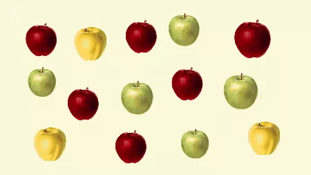 Honeycrisp -Một trong những loại táo ngon nhất thế giới