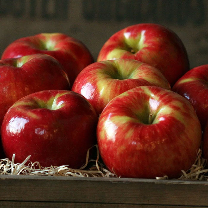 Honeycrisp -Một trong những loại táo ngon nhất thế giới
