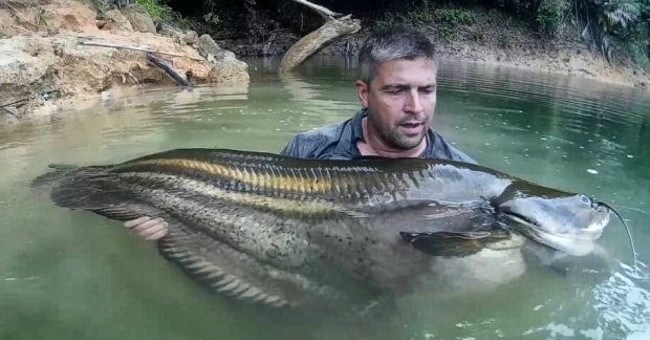 Truy tìm quái ngư huyền thoại trong rừng mưa Malaysia