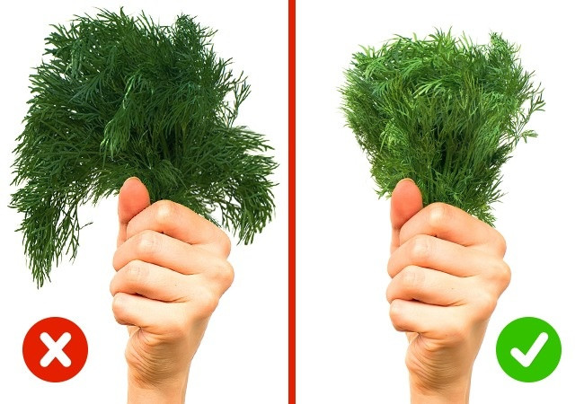 Hướng dẫn cách chọn thực phẩm an toàn, tránh ngộ độc