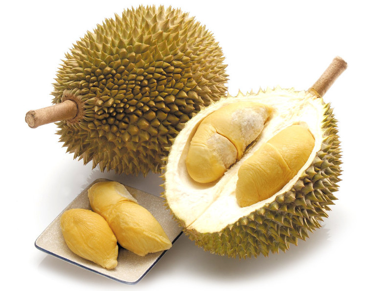 Khi nào sầu riêng trở thành chất độc với cơ thể?